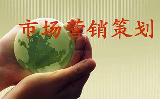 市場(chǎng)營(yíng)銷策劃 成功品牌的戰(zhàn)略藍(lán)圖
